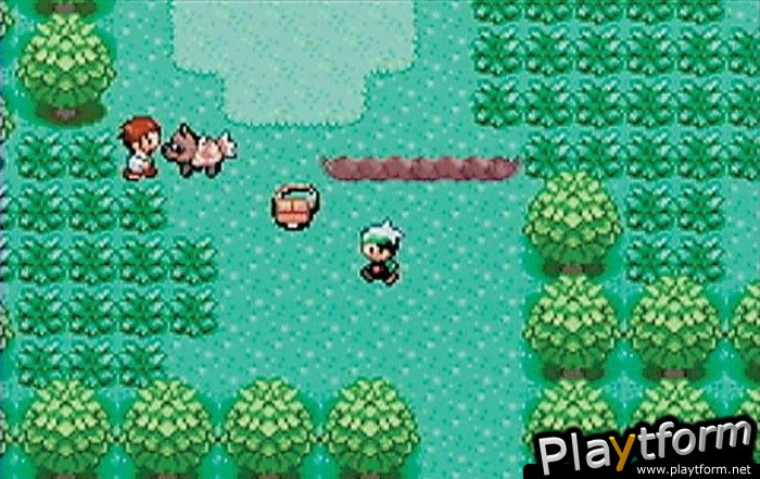 Pokemon Emerald Version (Game Boy Advance)