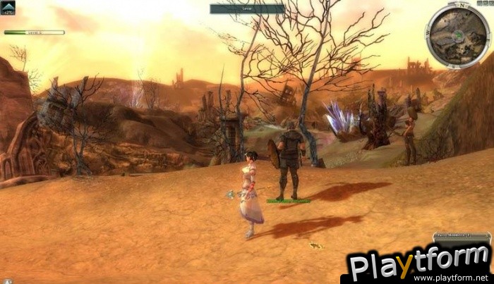 Guild Wars (PC)