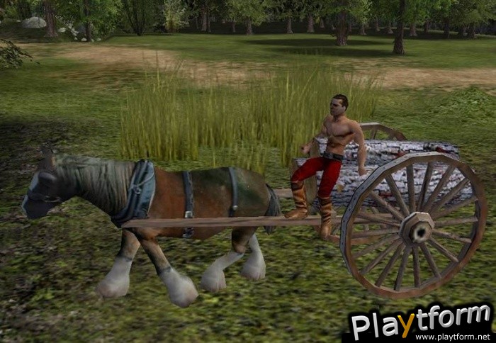 Stronghold 2 (PC)