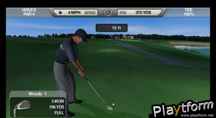 Tiger Woods PGA Tour (PSP)