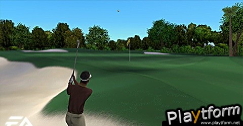 Tiger Woods PGA Tour (PSP)