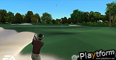 Tiger Woods PGA Tour (PSP)