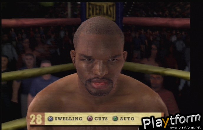 Fight Night Round 2 (PlayStation 2)