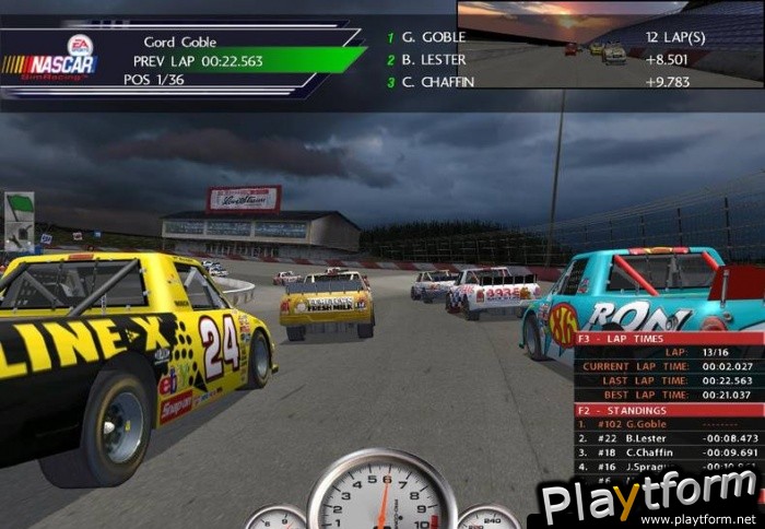 NASCAR SimRacing (PC)