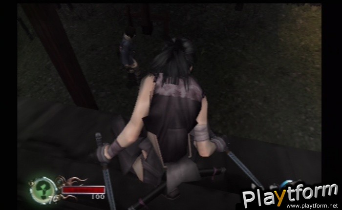 Tenchu: Fatal Shadows (PlayStation 2)