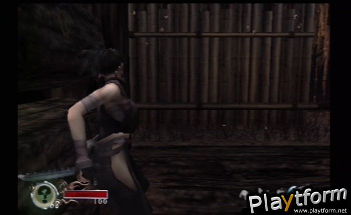 Tenchu: Fatal Shadows (PlayStation 2)