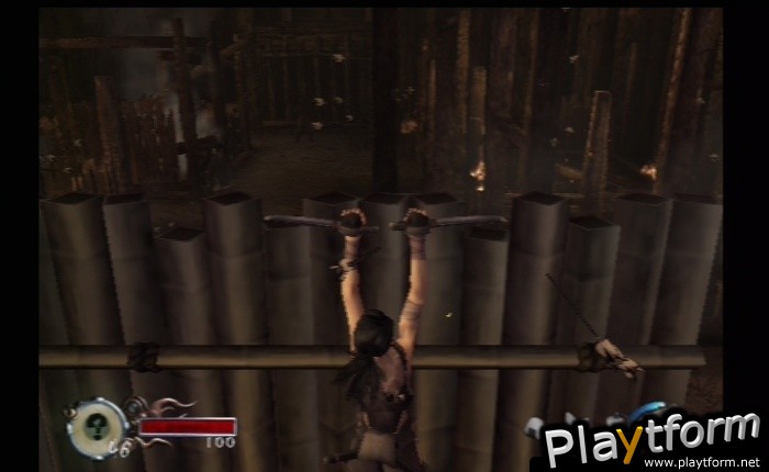 Tenchu: Fatal Shadows (PlayStation 2)