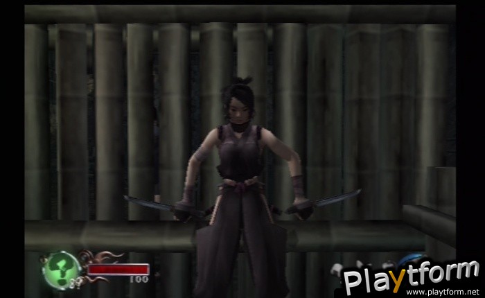 Tenchu: Fatal Shadows (PlayStation 2)