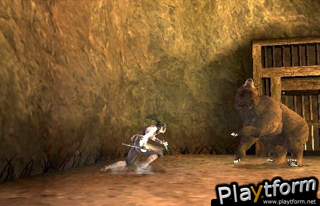 Tenchu: Fatal Shadows (PlayStation 2)