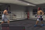 Fight Night Round 2 (PlayStation 2)