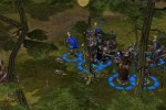 Heritage of Kings: The Settlers (PC)