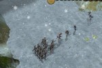 Heritage of Kings: The Settlers (PC)