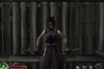 Tenchu: Fatal Shadows (PlayStation 2)