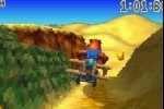 Banjo-Pilot (Game Boy Advance)