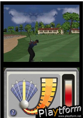 Tiger Woods PGA Tour (DS)