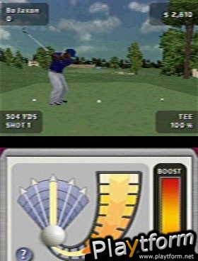 Tiger Woods PGA Tour (DS)