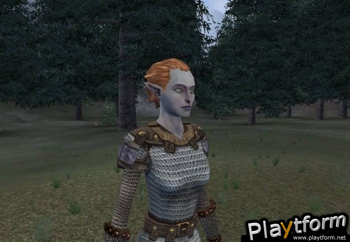 Dark Age of Camelot: Catacombs (PC)