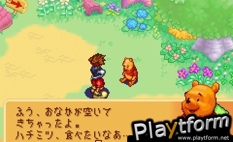 Kingdom Hearts: Chain of Memories (Game Boy Advance)