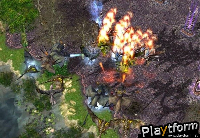 Armies of Exigo (PC)