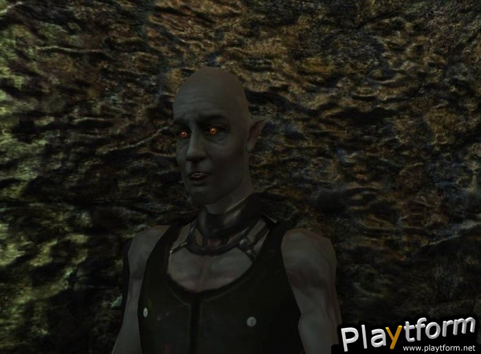 Vampire: The Masquerade - Bloodlines (PC)