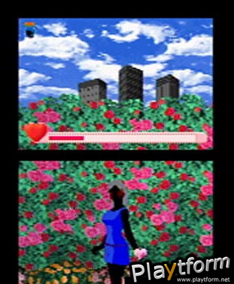 Feel the Magic: XY/XX (DS)