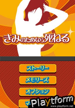 Feel the Magic: XY/XX (DS)