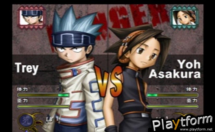 Shaman King: Power of Spirit (PlayStation 2)