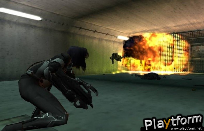 Ghost in the Shell: Stand Alone Complex (PlayStation 2)