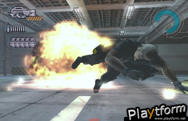 Ghost in the Shell: Stand Alone Complex (PlayStation 2)