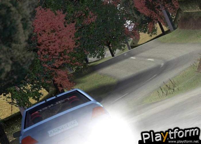 Euro Rally Champion (PC)