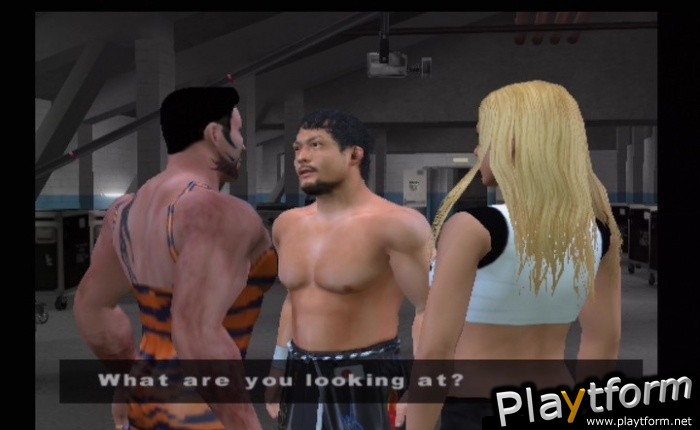 WWE SmackDown! vs. Raw (PlayStation 2)