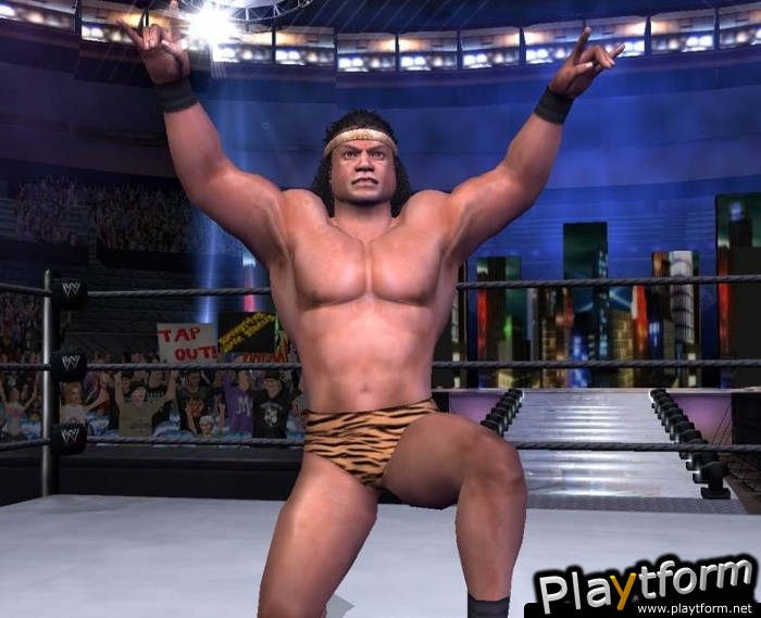 WWE SmackDown! vs. Raw (PlayStation 2)