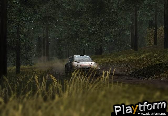 Colin McRae Rally 2005 (PC)