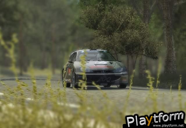 Colin McRae Rally 2005 (PC)