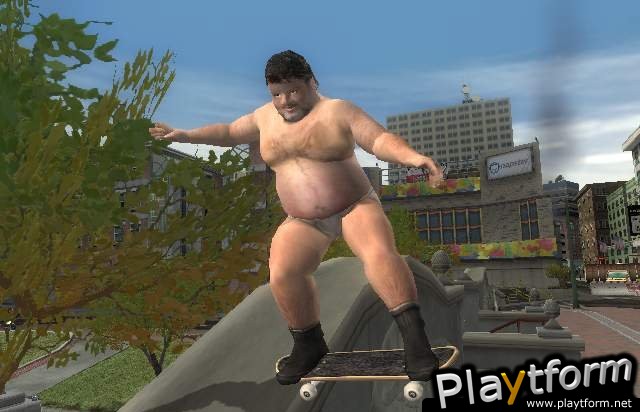 Tony Hawk's Underground 2 (PC)