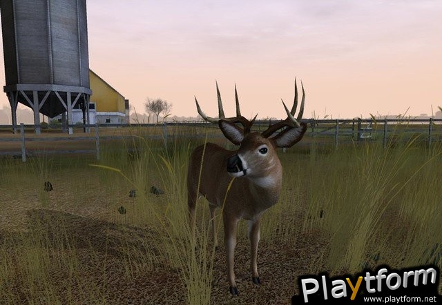 Deer Hunter 2005 (PC)