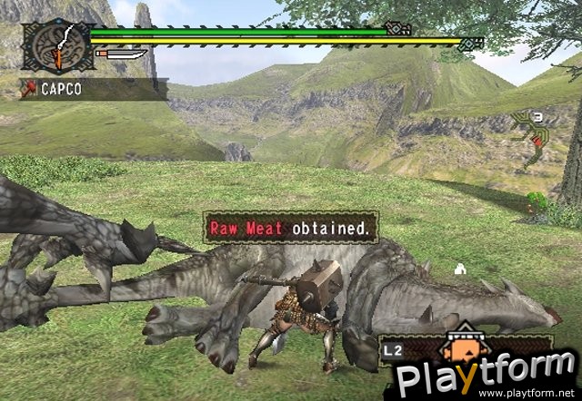 Monster Hunter (PlayStation 2)