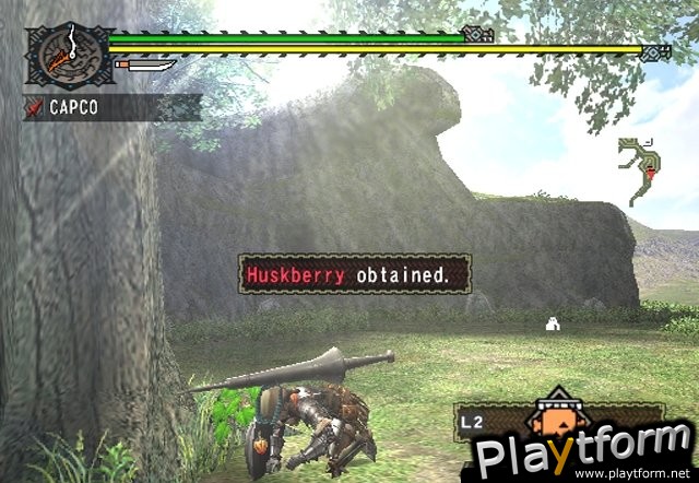 Monster Hunter (PlayStation 2)