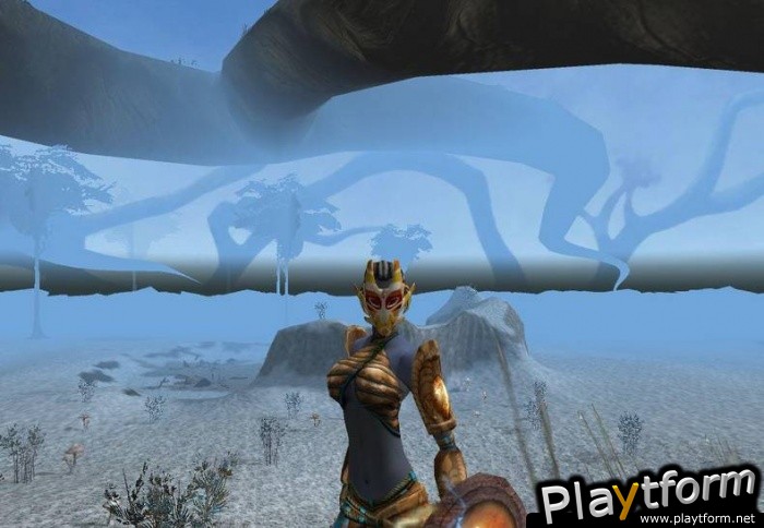 The Saga of Ryzom (PC)