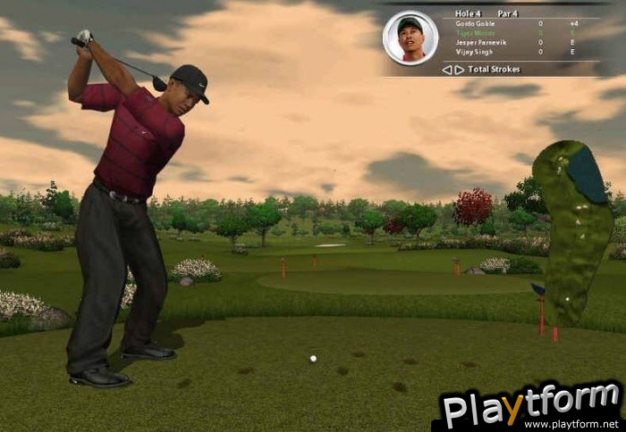 Tiger Woods PGA Tour 2005 (PC)