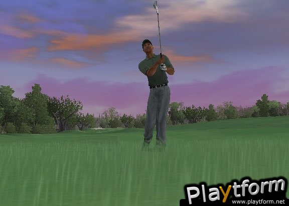 Tiger Woods PGA Tour 2005 (PC)