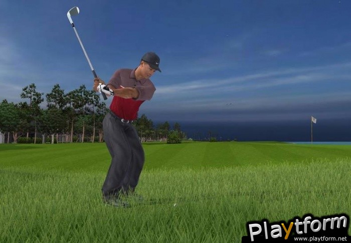 Tiger Woods PGA Tour 2005 (PC)