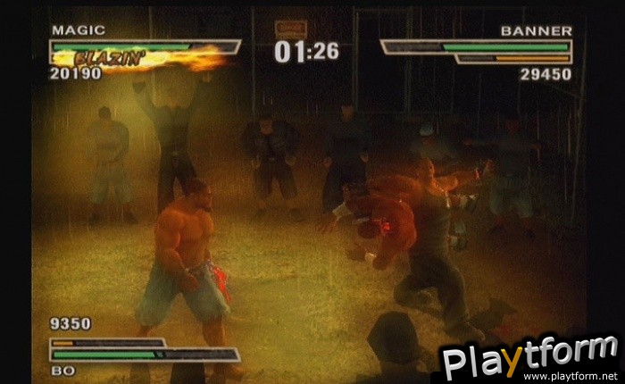 Def Jam: Fight for NY (PlayStation 2)