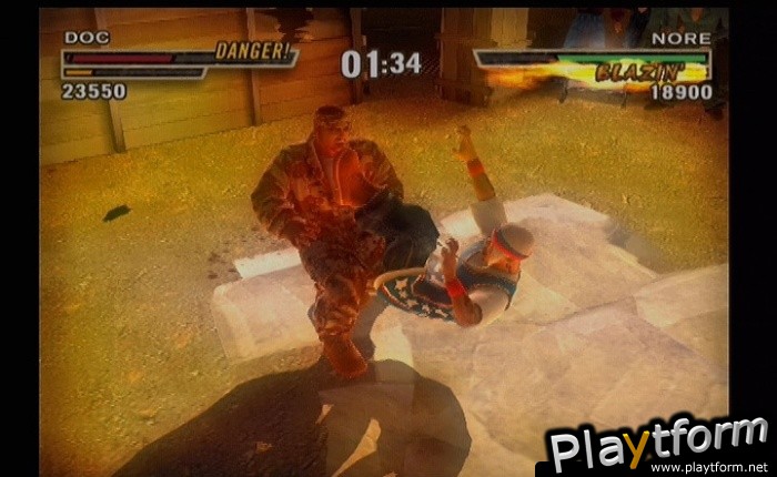 Def Jam: Fight for NY (PlayStation 2)