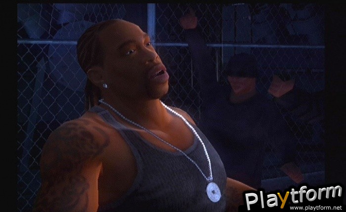 Def Jam: Fight for NY (PlayStation 2)