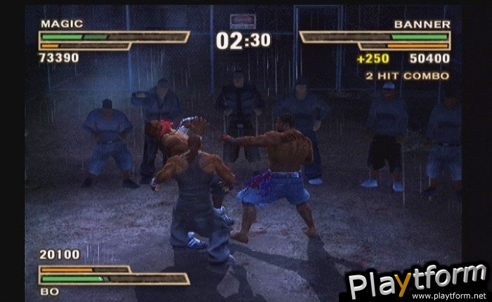 Def Jam: Fight for NY (PlayStation 2)