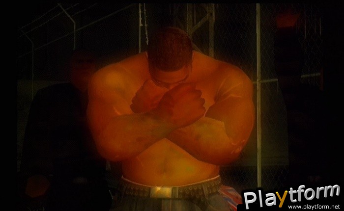 Def Jam: Fight for NY (PlayStation 2)