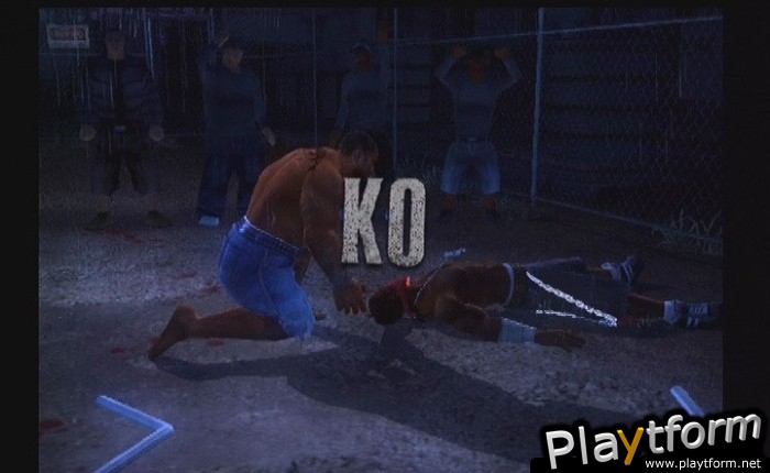 Def Jam: Fight for NY (PlayStation 2)
