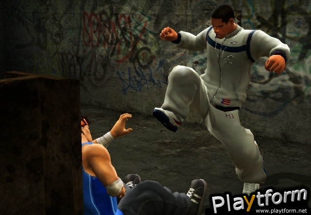 Def Jam: Fight for NY (PlayStation 2)