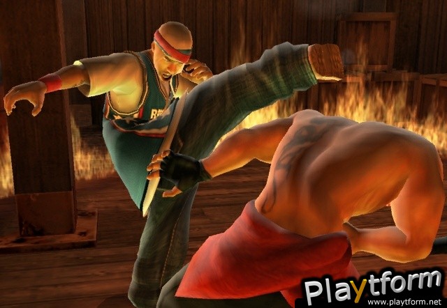 Def Jam: Fight for NY (PlayStation 2)